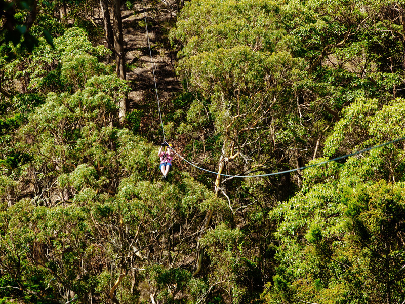 canyon flyer zipline tour