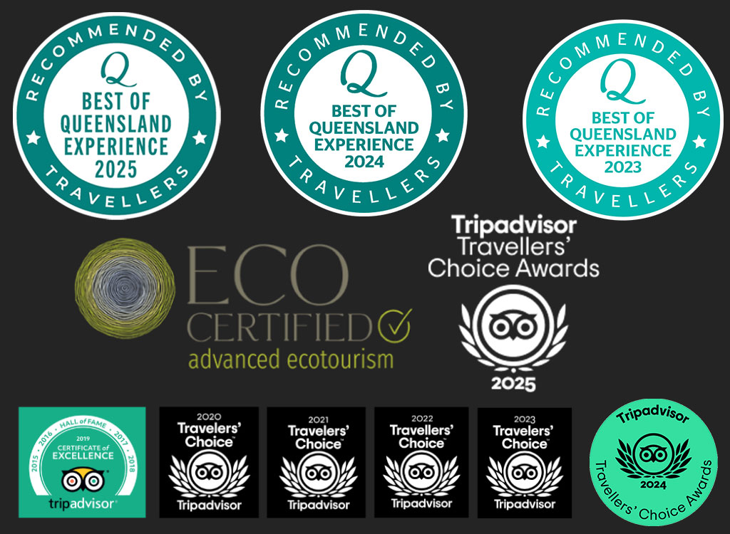 Footer Logos