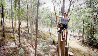 TreeTop Pole Games